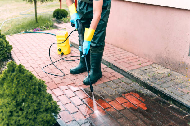 Best Driveway Cleaning and Restoration in Oostburg, WI